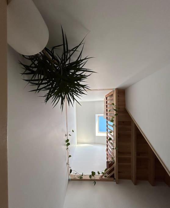 Maison 2chambres 3lits *
